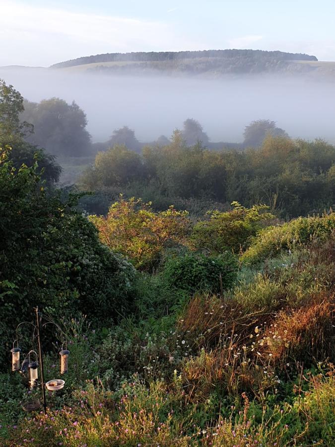 Houghton  A Barn At South Downs Stay المظهر الخارجي الصورة